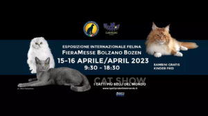 expo felina enfi bolzano aprile 2023
