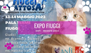 expo felina fiuggi 2023