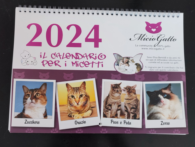 Calendario di MicioGatto 2024