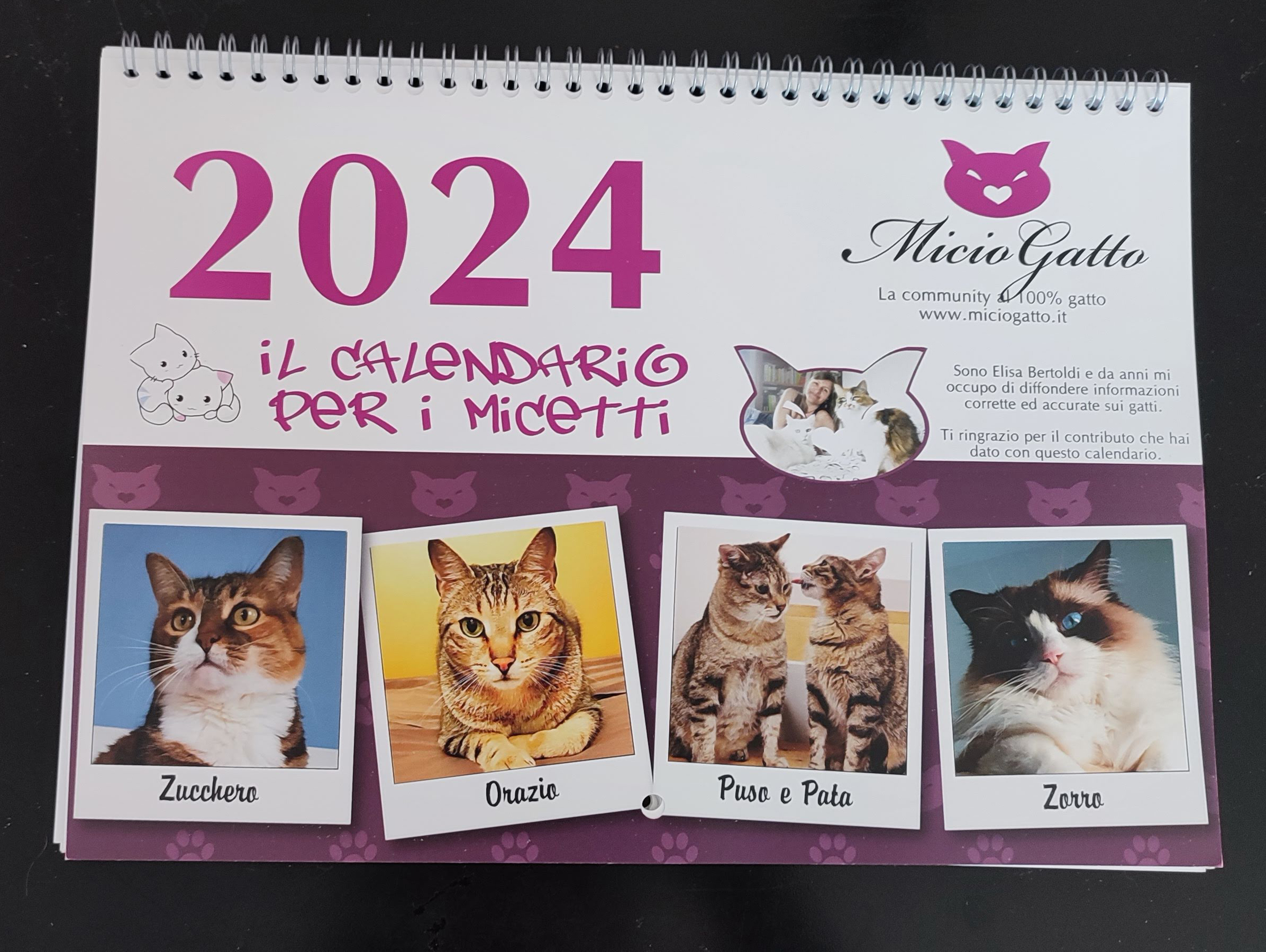 Calendario di MicioGatto 2024 orizzontale 21*29 