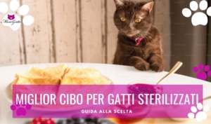miglior cibo per gatti sterilizzati scelta consigli