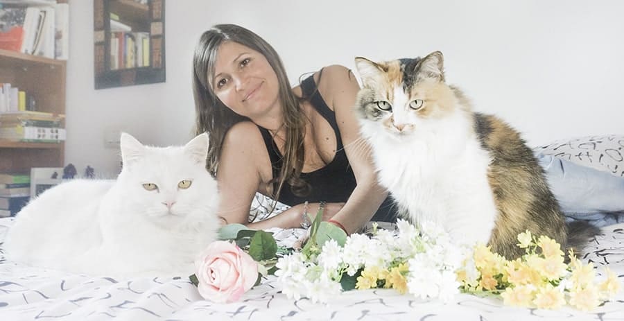 MicioGatto Elisa Lady e Oscar