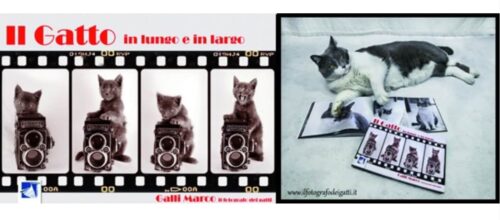 Libro fotografico Il gatto in lungo e in largo di Marco Galli