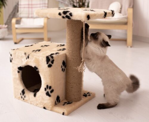 tiragraffi costruirlo o acquistarlo