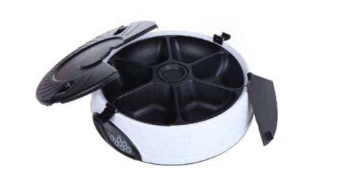 Pet Feeder 6 pasto LCD un regalo utile per il nostro gatto