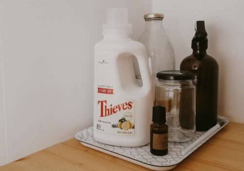 intossicazioni domestiche gatto