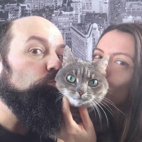 Adottare un gatto adulto