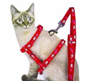 Pettorina per gatti ad H