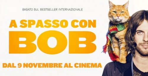 A spasso con bob film libro dvd