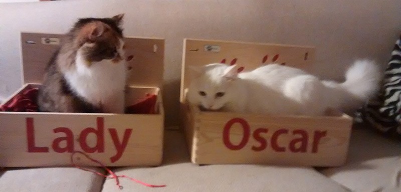 Lady e Oscar nella cuccia athleticat