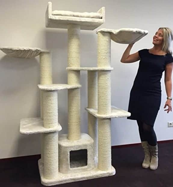 Tiragraffi per gatti giganti