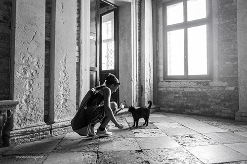 Incontro con il gatto Venezia MicioGatto