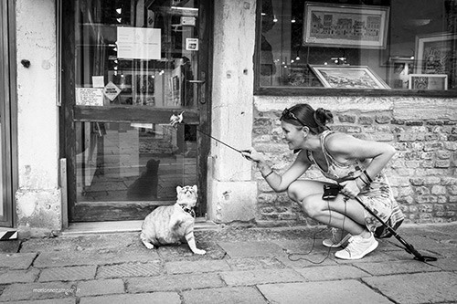 A Venezia con il Gatto