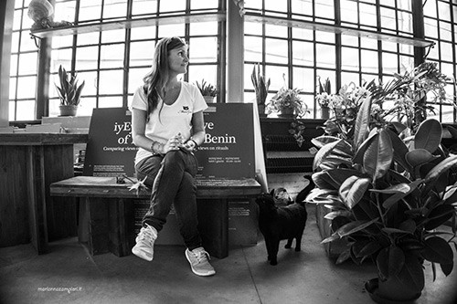 Serra dei Giardini Venezia MicioGatto