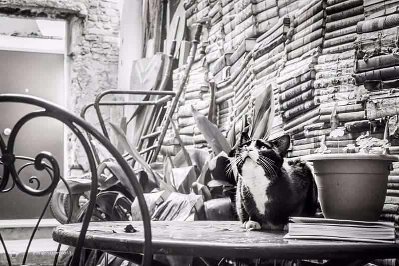 Libreria Acqua Alta Venezia - Misspull - Foto di Marianna Zampieri