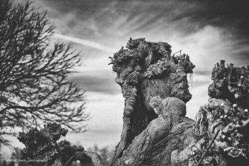 Sabrina Boem - Gli invisibili, i gatti delle colonie