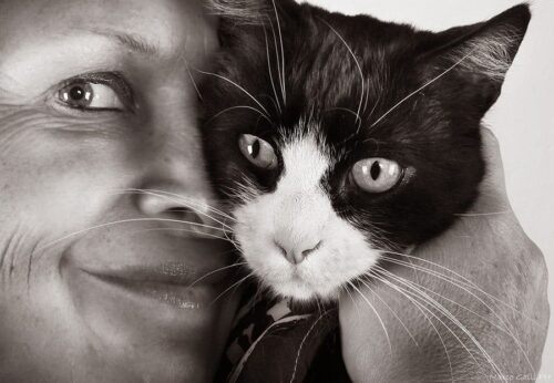 Felix, il gatto disabile a trazione anteriore