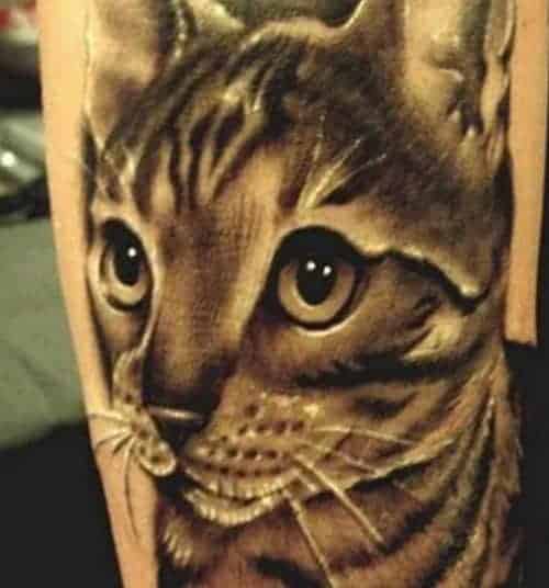 cat tatoo relistic