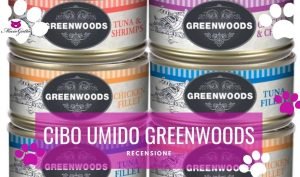greenwoods umido gatti recensione opinioni