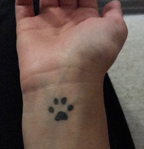 impronta gatto tatuaggio