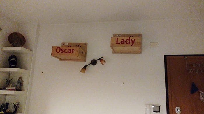 mobili per gatti appesi