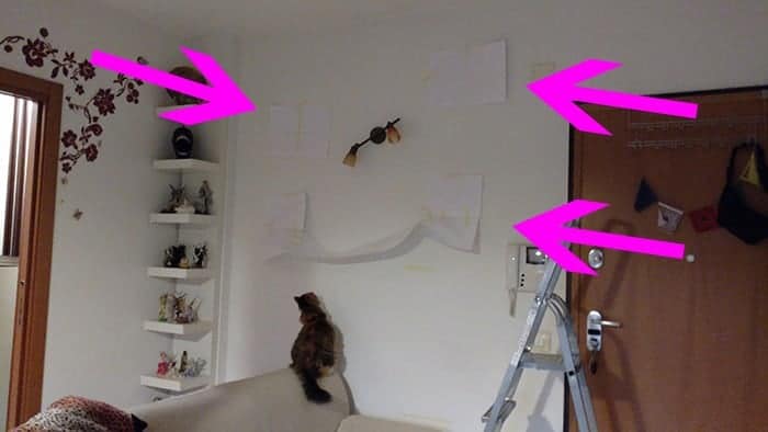 montare pareti attrezzate per gatti