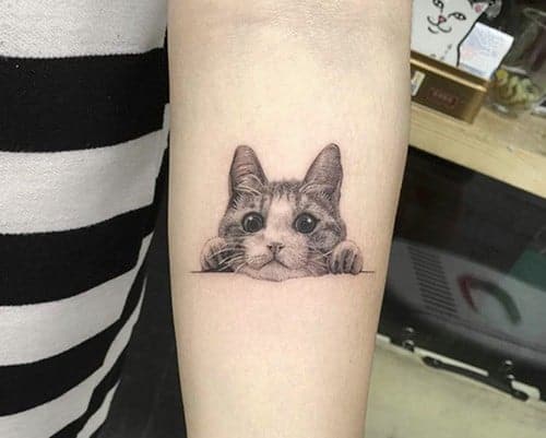 musetto di gatto tatuato