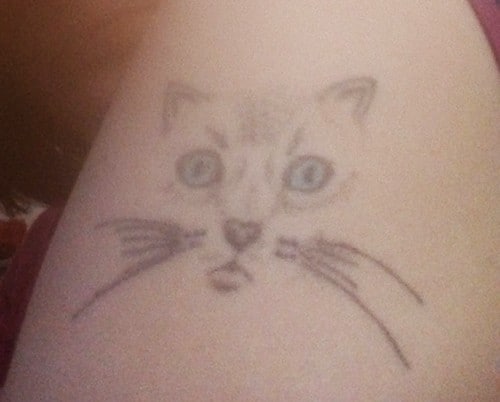 muso di gatto stilizzato tatuaggio