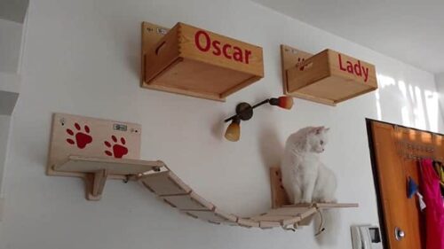 parete attrezzata per gatti montaggio