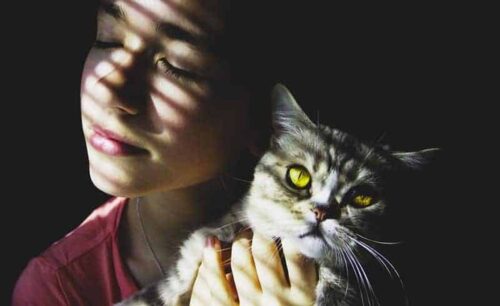 pet therapy con gatti