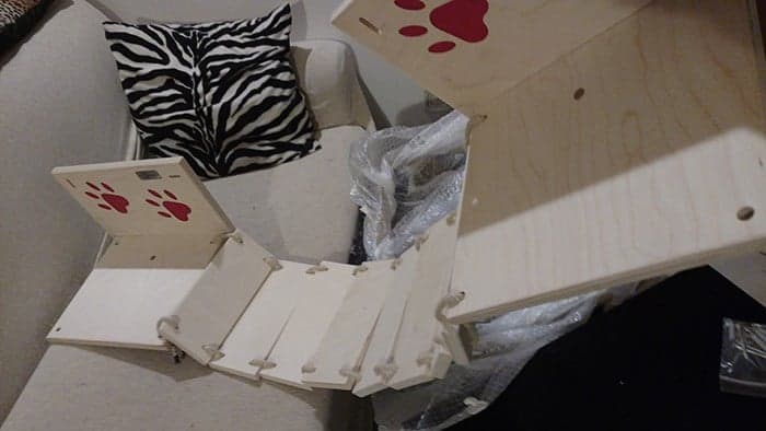 Il ponte tibetano gatti Athleticat