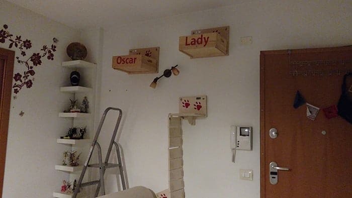 ponte tibetano per gatti appeso