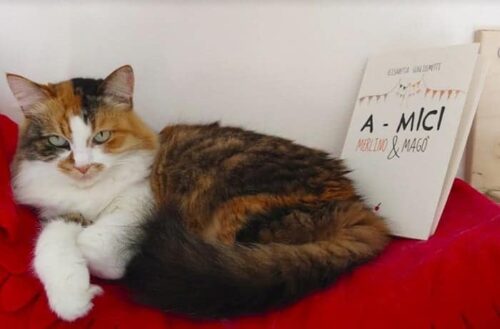 recensione a-mici marlino e mago di Elisabetta Guglielmetti