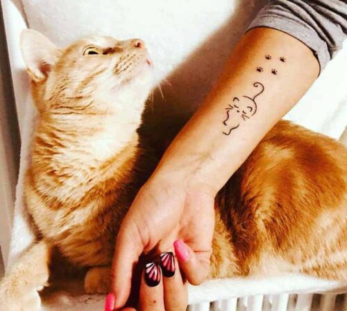 tatuaggi gatti idee e immagini