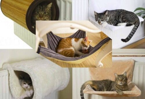 Amaca per gatti tipologie e consigli