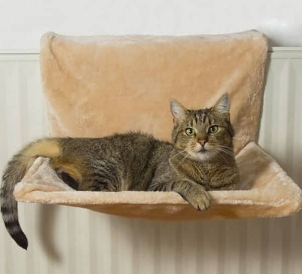 Amaca da termosifone per gatti zooplus