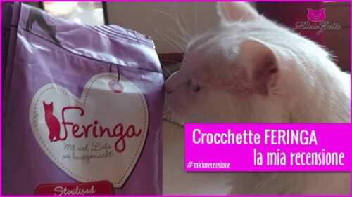 crocchette gatti feringa zooplus recensione opinioni