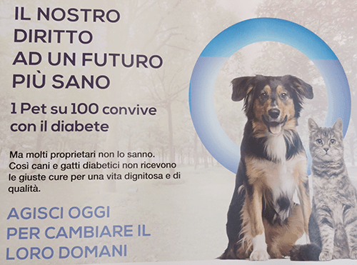 diabete nel gatto e nel cane