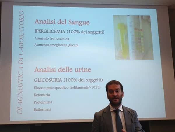 dott Fracassi e la diagnosi di diabete nel gatto e nel cane