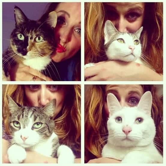 i gatti di clio make up