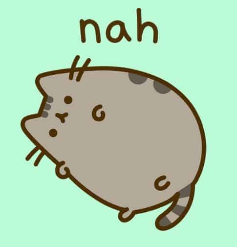 pusheen gatto