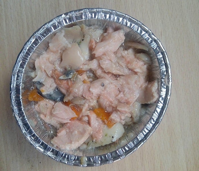 scatoletta salmone fatto in casa per gatti