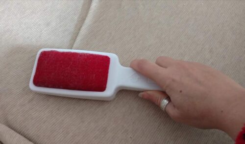 Le migliori spazzole toglipeli per la nostra casa