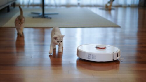 Miglior Robot aspirapolvere per peli animali