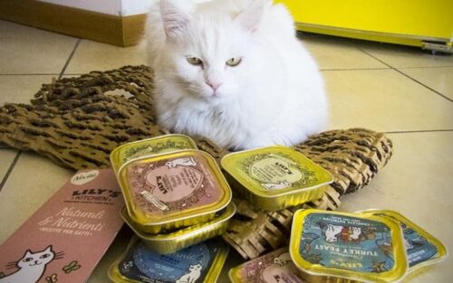 Lily s kitchen gatto recensione