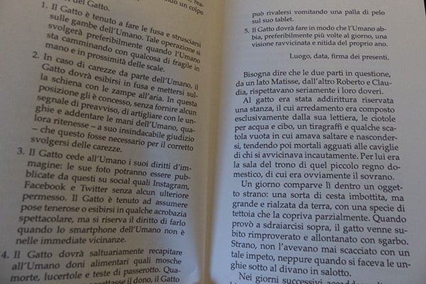 la morte e il gatto il triste mietitore
