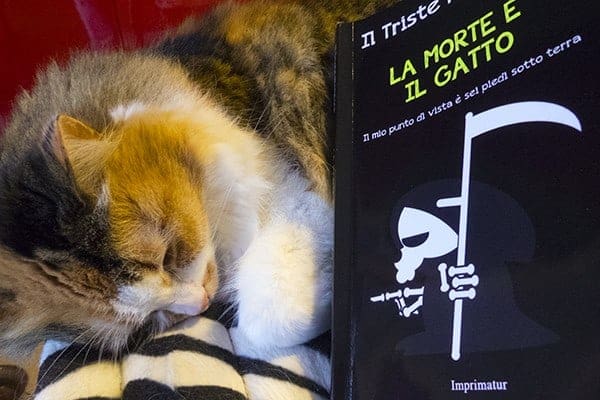 la morte e il gatto