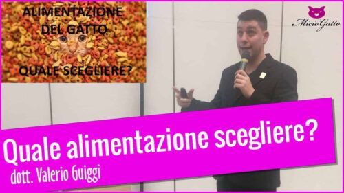 alimentazione del gatto valerio guiggi aninalissima pisa
