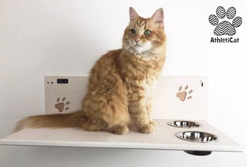 arredamento per gatti ciotole sospese