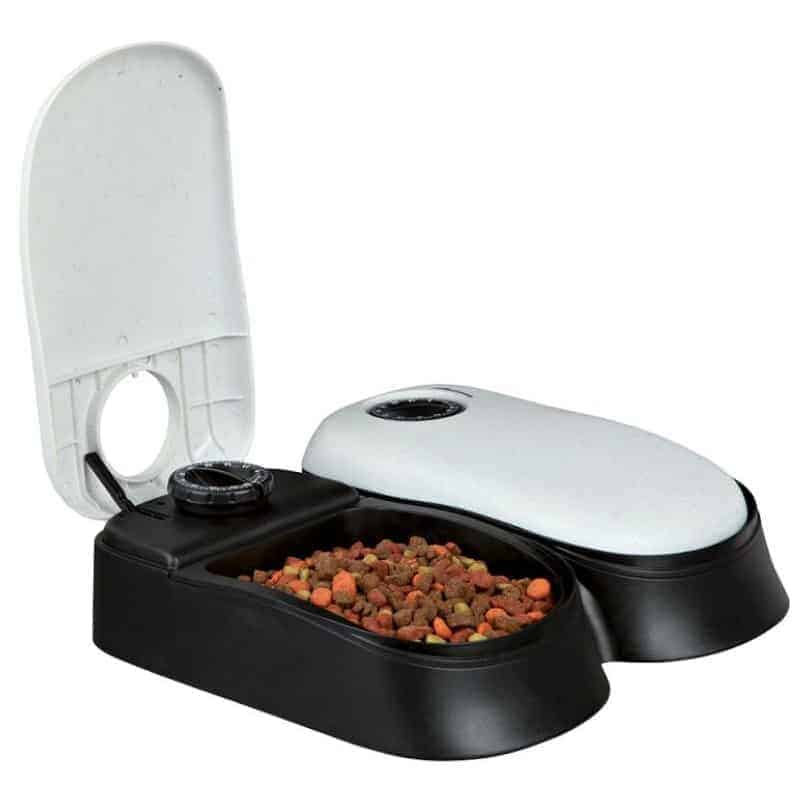 ciotola per gatti con timer